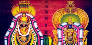 Tiruvannamalai Karthigai Deepam 2024