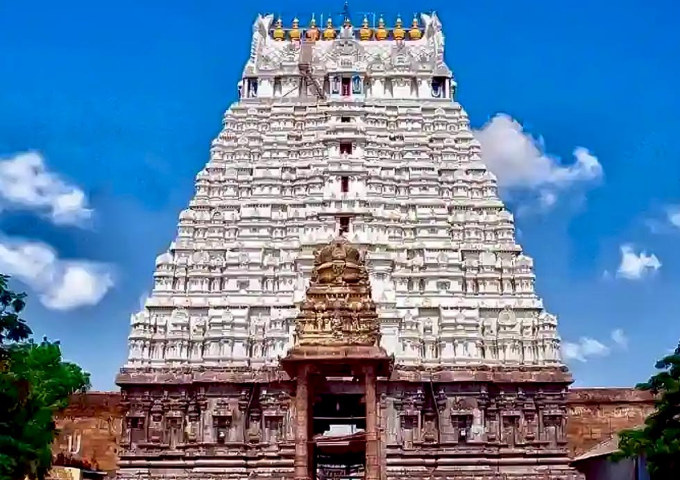 Sri Govindaraja Swamy Temple August 2026 Festival Schedule: Key Dates & Rituals